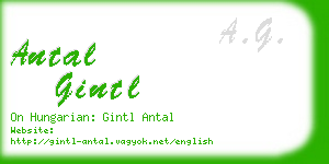 antal gintl business card